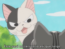 Chi's Sweet Home OVA